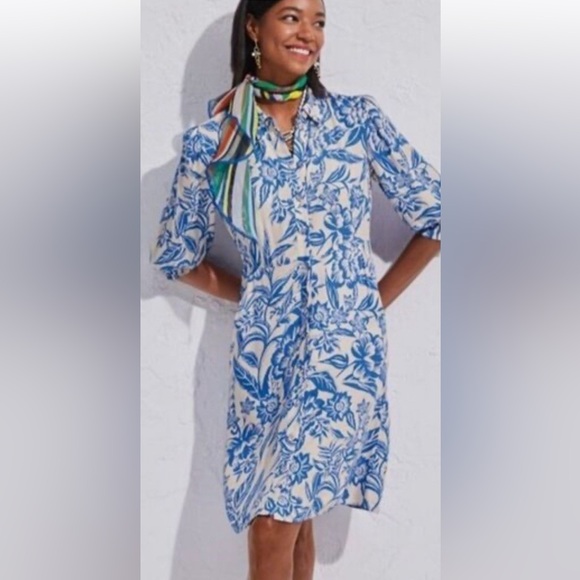 CAbi Sweaters - CAbi Athena dress